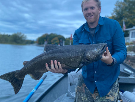 Fall 2021: Salmon Season!