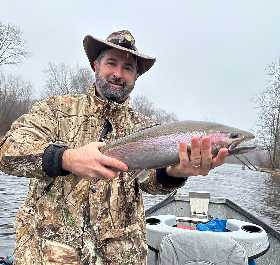 Salmon River Steelhead
