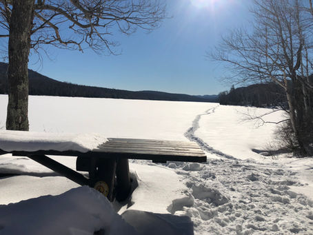 Trout Talks: Ice Out ADK Brook Trout