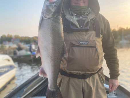 Salmon River Steelhead Fishing - Jan. 2021
