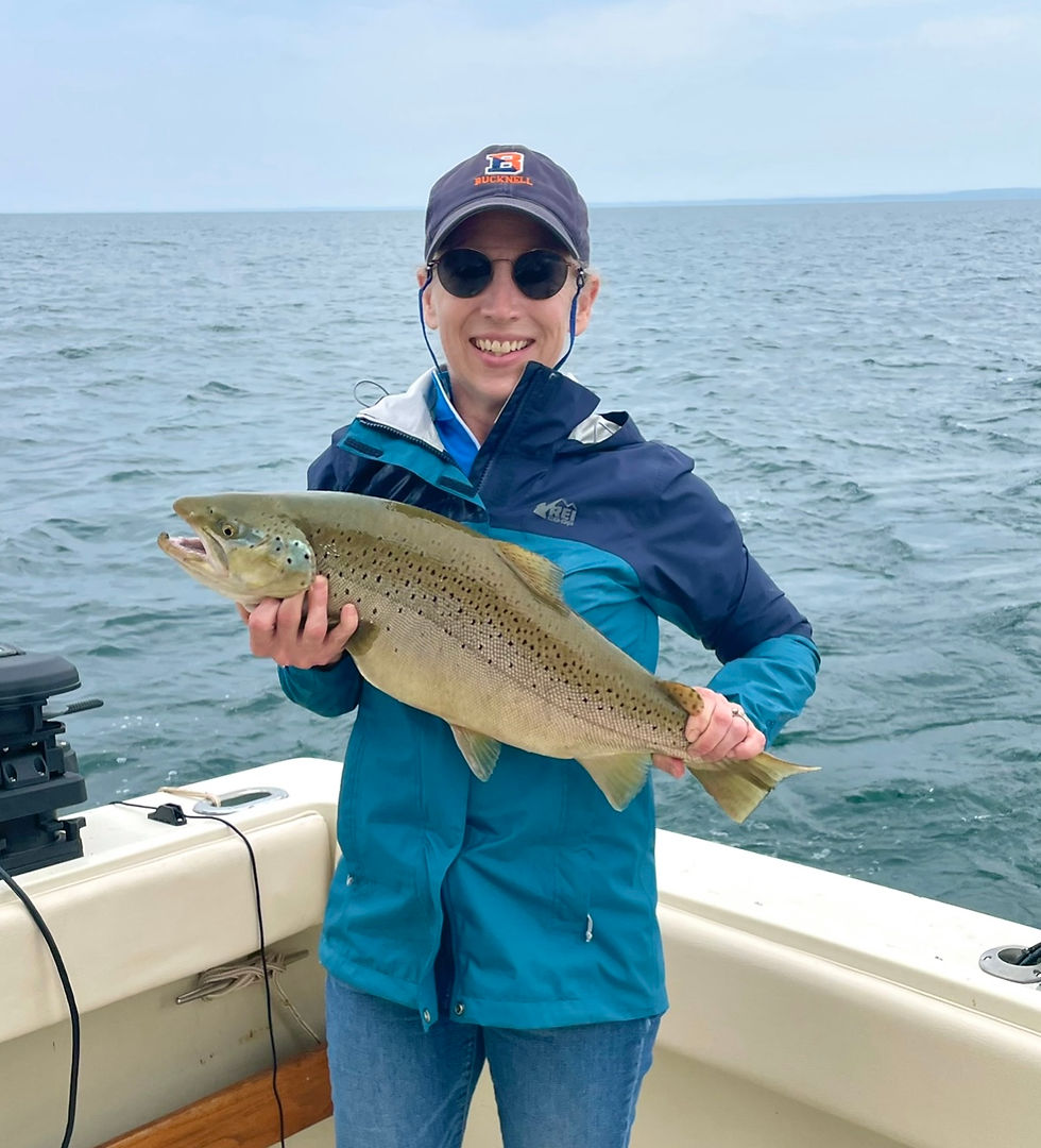 Spring Lake Ontario Brown Trout