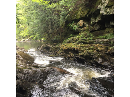 Gear for Fly-Fishing Small Adirondack Streams