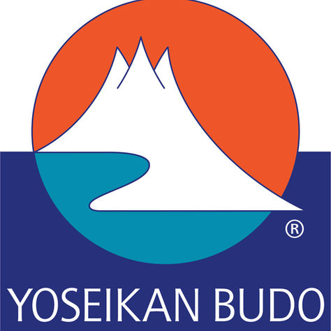 Yoseikan Budo - ein besonderer Erfahrungsweg