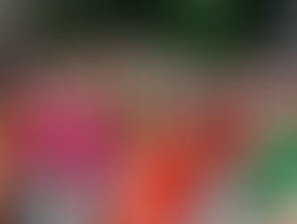 As Charangueiras realizam ensaio aberto no Parque do Palácio neste sábado