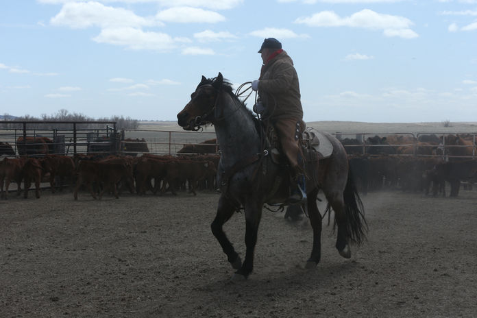 2022 HRR BRANDING (446).JPG