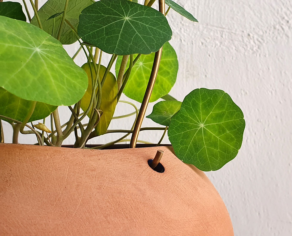 Thumbnail: Large Terracotta Planter