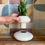 Thumbnail: White Mini Planter