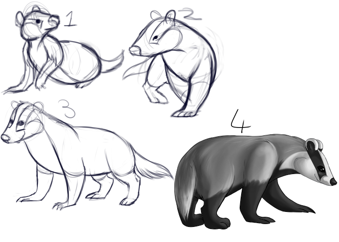 Badger Concepts