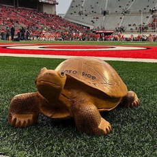 Pregame Guide and Prediction: Illinois @ #7 Ohio State