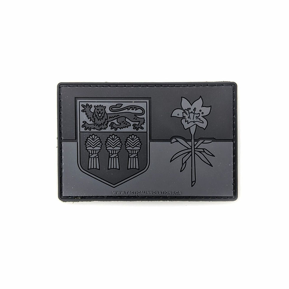 Thumbnail: TIC Saskatchewan Flag Patch