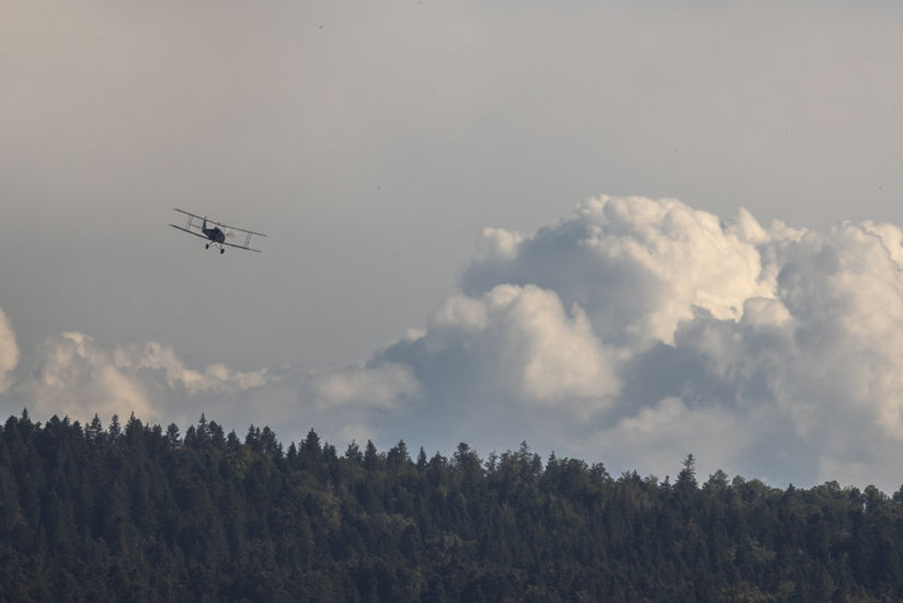 09 juillet 2022165221IMG_2989.jpg