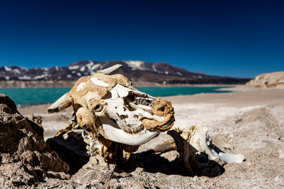 17 octobre 2018170955IMG_2992.jpg