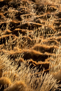 18 octobre 2018071524IMG_2928.jpg