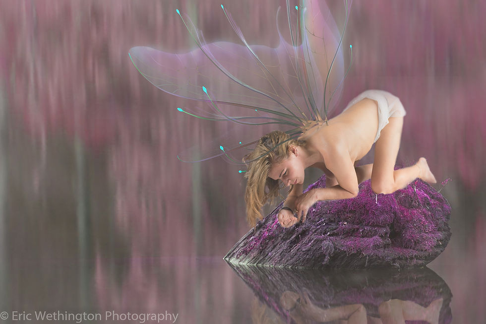 Fairy