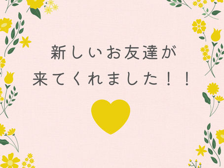 新しいお友達が来てくれました