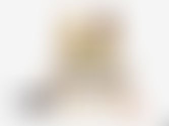 新しいお友だちが来てくれました💕