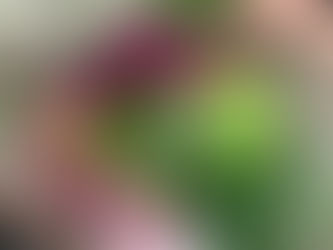 朝からバタバタ