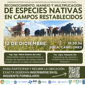 Reconocimiento, manejo y multiplicación de especies nativas en campos restablecidos