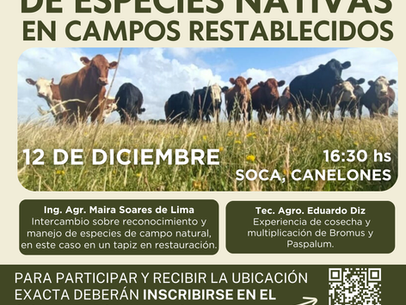 Reconocimiento, manejo y multiplicación de especies nativas en campos restablecidos