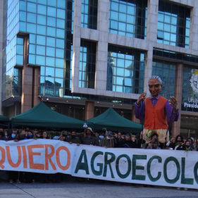 Pronunciamiento en el Día Mundial del  Medio Ambiente