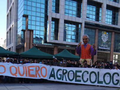 Pronunciamiento en el Día Mundial del Medio Ambiente