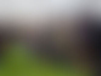 Multiplicación de diversidad de papas en predios agroecológicos.