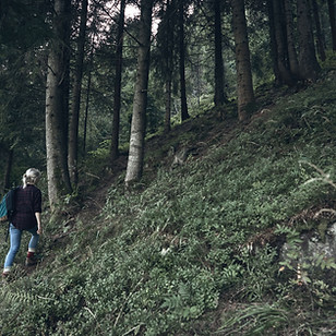 Girl Hiking in Nature