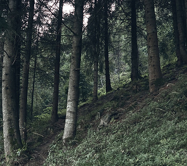 Girl Hiking in Nature