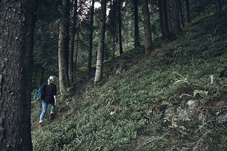 Fille randonnée dans la nature