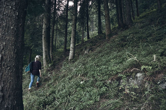 Chica de senderismo en la naturaleza