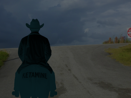 A cowboy on a horse approaching a road with a no-entry sign
