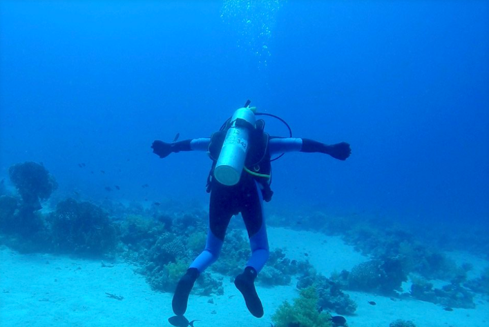 OPEN WATER DIVER
