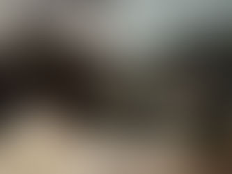 Life, Money & a One-Year-Old Pomchi Who Thinks She Owns the Place 🐶