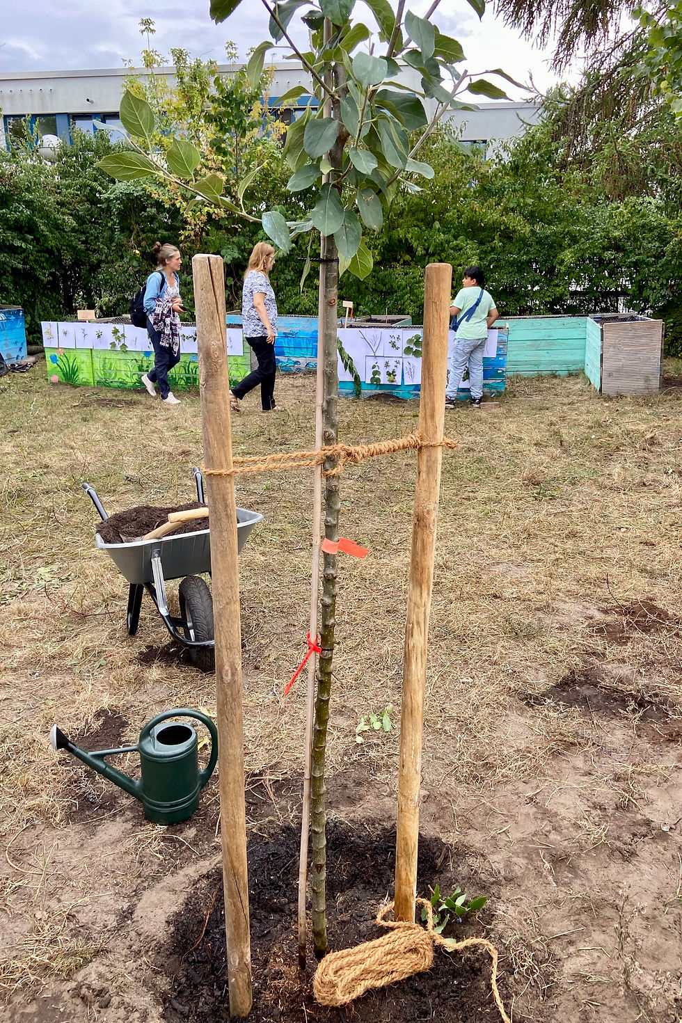 Schulgarten Projekt an der SKH