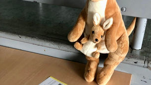 Känguru-Wettbewerb 2026 an der Schule in der Köllnischen Heide