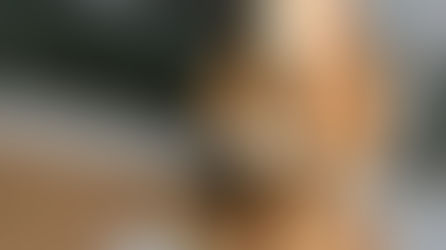 Känguru-Wettbewerb 2026 an der Schule in der Köllnischen Heide