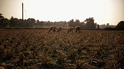 IMG_20180203_155838-01