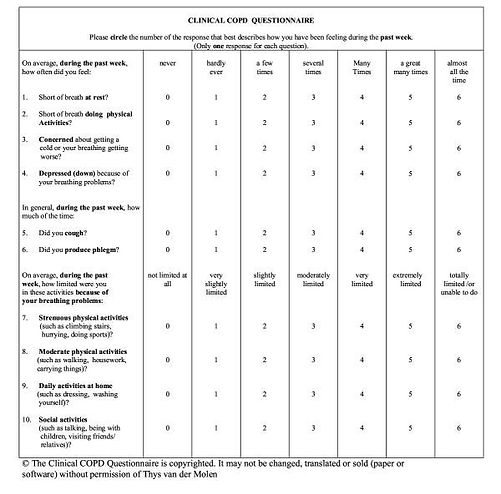 CCQ-questionnaire-Calculation-of-scores-CCQ-total-score-item-1-2-3-4-5-6.png.jpeg