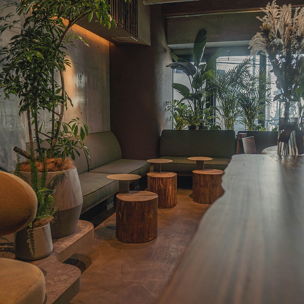 Party Space01