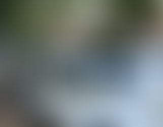 Ataque no Zoológico: homem invade recinto, mata veado e deixa outro gravemente ferido em Cachoeira do Sul