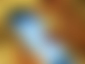 Eleitor tem um mês para regularizar pendências e ficar apto a votar