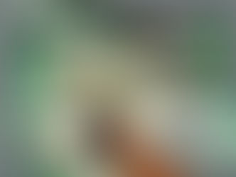 Proprietários de veículos de Cachoeira pagaram R$ 11 milhões com IPVA antecipado