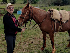 Cavalo resgatado de maus-tratos é recuperado pelo Cempra e ganha novo lar em Cachoeira do Sul