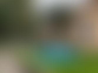 Concurso de Cachoeira divulga gabaritos preliminares; salários chegam a R$ 19,5 mil
