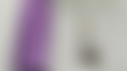 Polícia flagra drogas em residência de investigado por violência doméstica no Ponche Verde