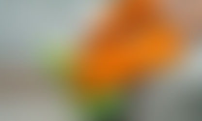 Prefeitura de Cachoeira abre seleção para contratação de 11 serventes na área da Saúde