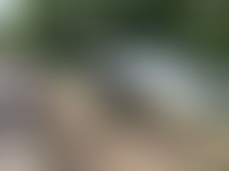 Carro de aplicativo sai da pista na BR-290 e deixa quatro feridos em Cachoeira do Sul