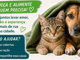 Campanha arrecada cobertas e ração para ajudar animais em situação de rua em Cachoeira do Sul
