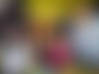 Acadêmicos de Direito da Ulbra Cachoeira participam de aula interativa sobre Constituições Brasileiras