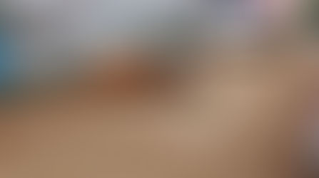 Família relata trauma após boi invadir casa e colocar criança e idosa em risco no interior de Cachoeira do Sul